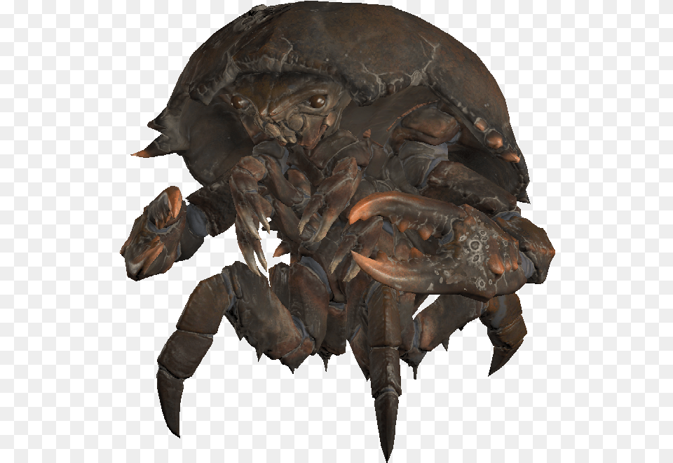 Fallout 4 Softshell Mirelurk, Electronics, Hardware, Person Free Transparent Png