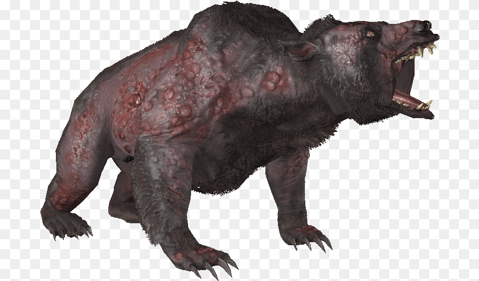 Fallout 4 Yao Guai, Animal, Hog, Mammal, Pig Png