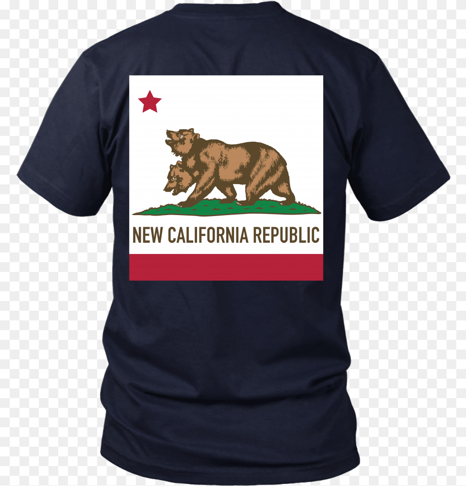 Fallout Inspired New California Republic Flag, Animal, Bear, Clothing, Mammal Png