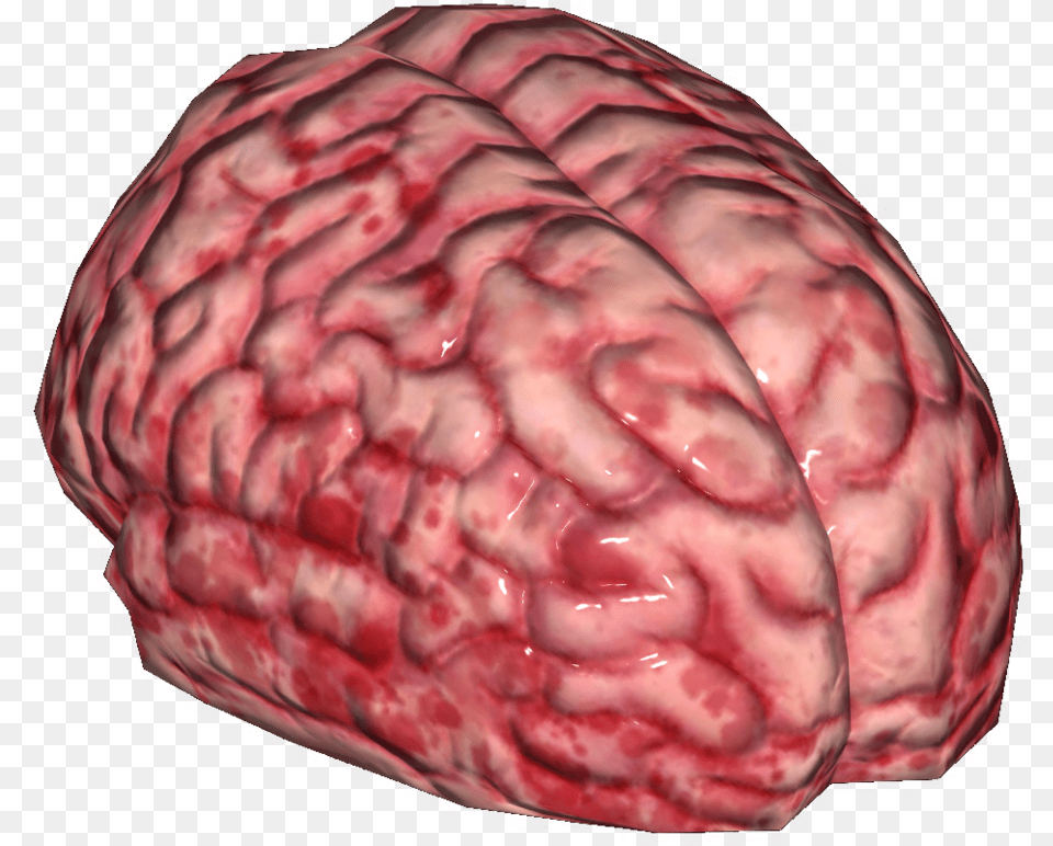 Fallout Wiki Brain As Food, Nut, Plant, Produce, Vegetable Png Image