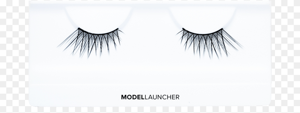 False Eyelashes Vector Library Eyelash Extensions, Art, Accessories Free Png Download