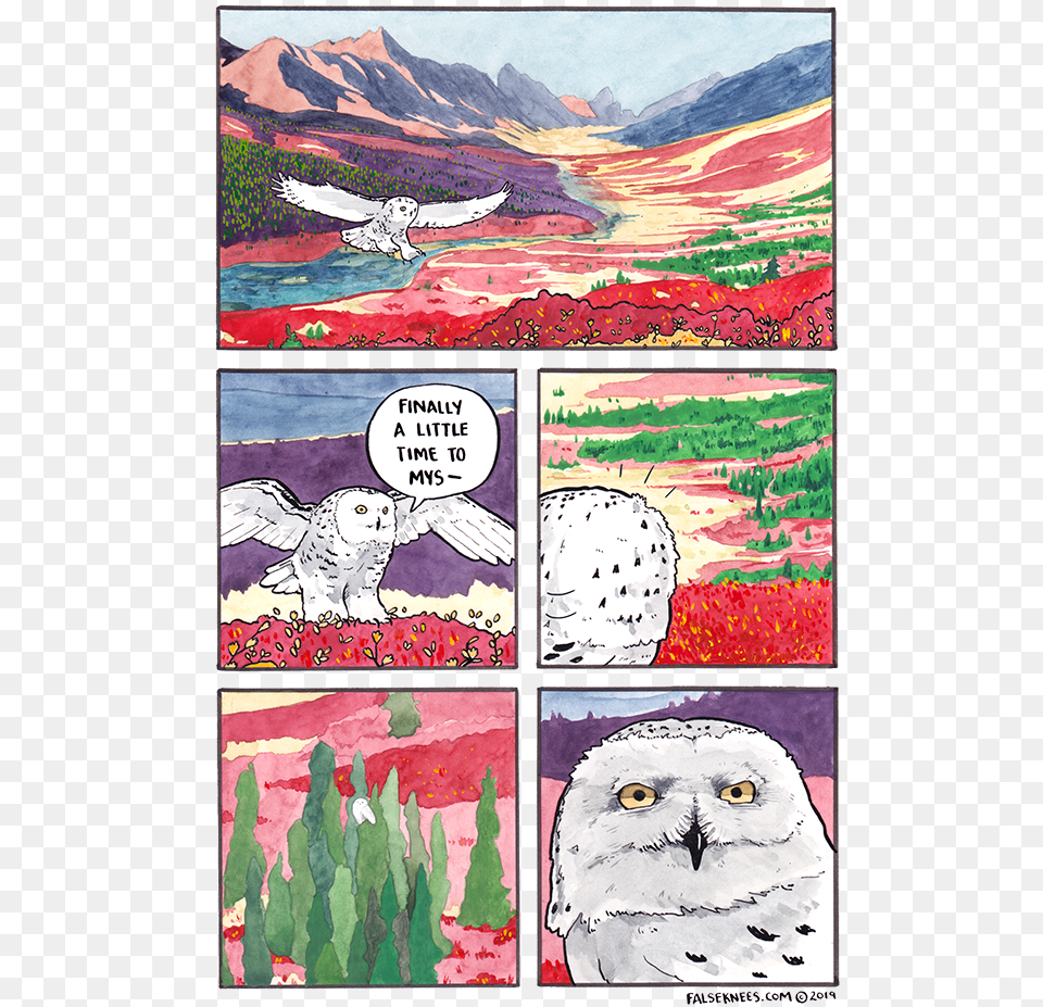 False Knees Snow Owl, Art, Book, Collage, Comics Free Transparent Png