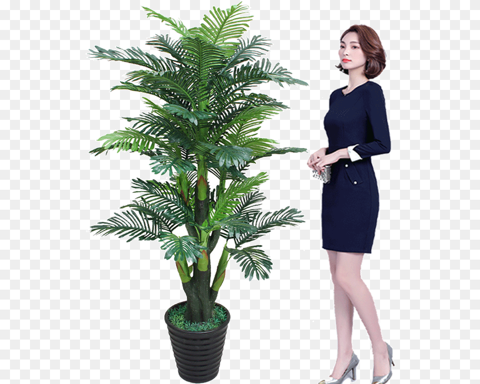 False Tree Sunflower Coconut Tree Simulation Plant Plants, Adult, Sleeve, Potted Plant, Person Free Png