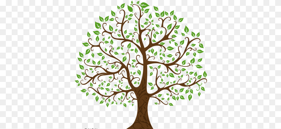 Familty Tree With Branches Free Clipart Finders Family Tree Tree Drawing, Plant, Oak, Potted Plant, Sycamore Png