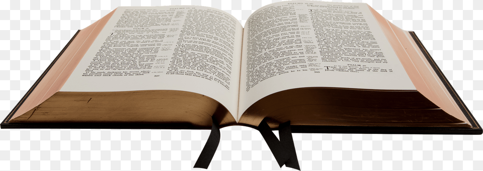 Family Bible Storytelling Media Bible Study, Book, Page, Publication, Text Png Image