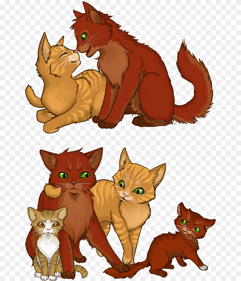 Family Firestar And Sandstorm And Their Firestar And Sandstorms Kits, Animal, Cat, Mammal, Pet Free Transparent Png
