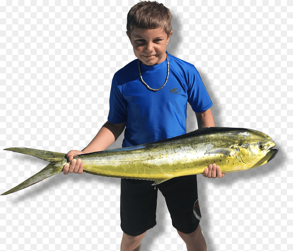 Family Friendly Fishing Charters Sauries, Person, Boy, Child, Male Png Image