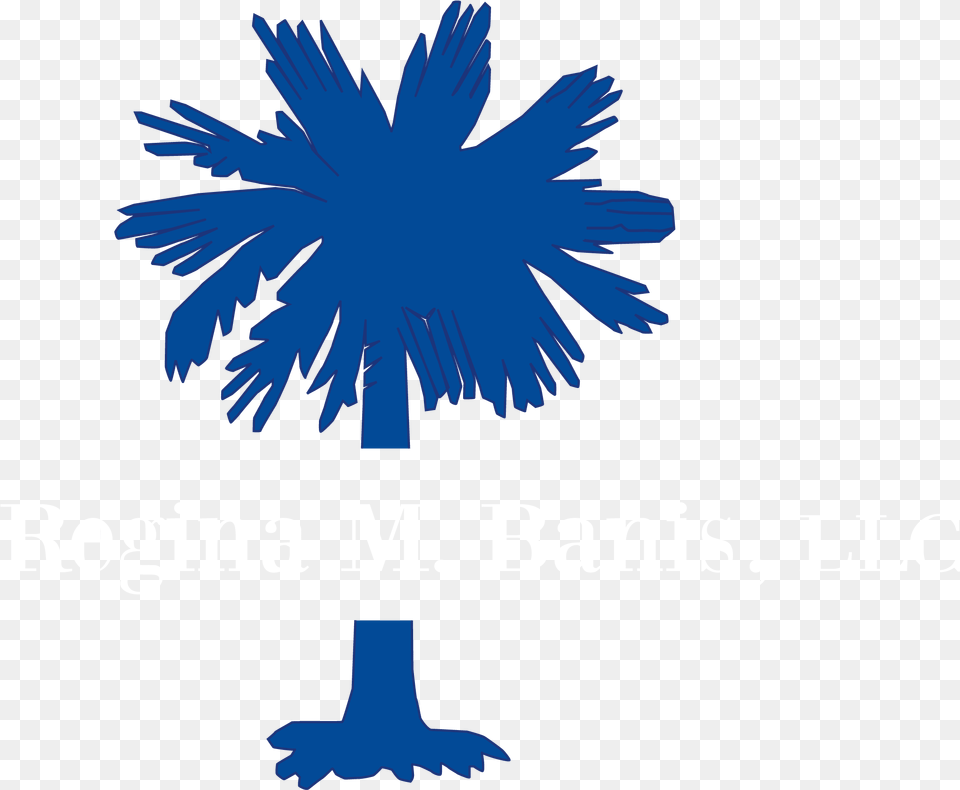 Family Law Attorney Of Bluffton South Carolina Flag, Palm Tree, Plant, Tree, Animal Free Transparent Png