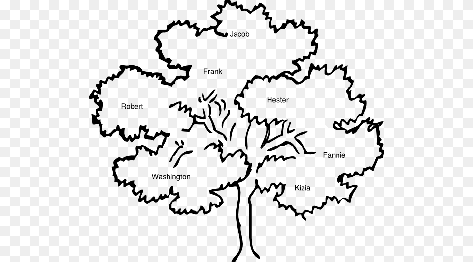 Family Reunion Family Tree Clipart, Chart, Plot, Person, Rainforest Free Transparent Png