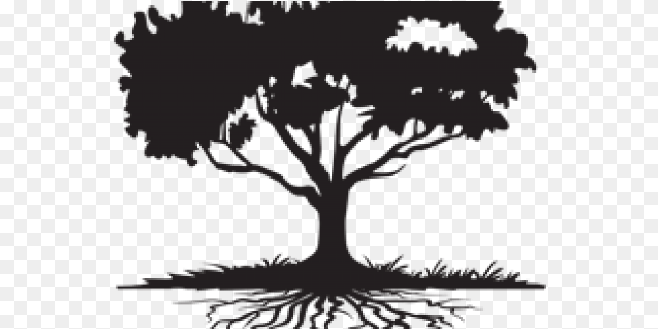 Family Reunion Tree, Plant, Art, Drawing, Person Free Png