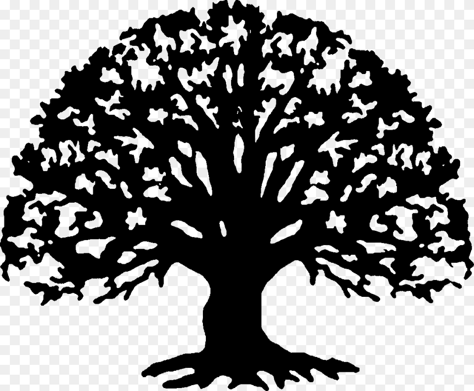 Family Reunion Tree Family Reunion Family Reunion Tree Silhouette, Gray Png