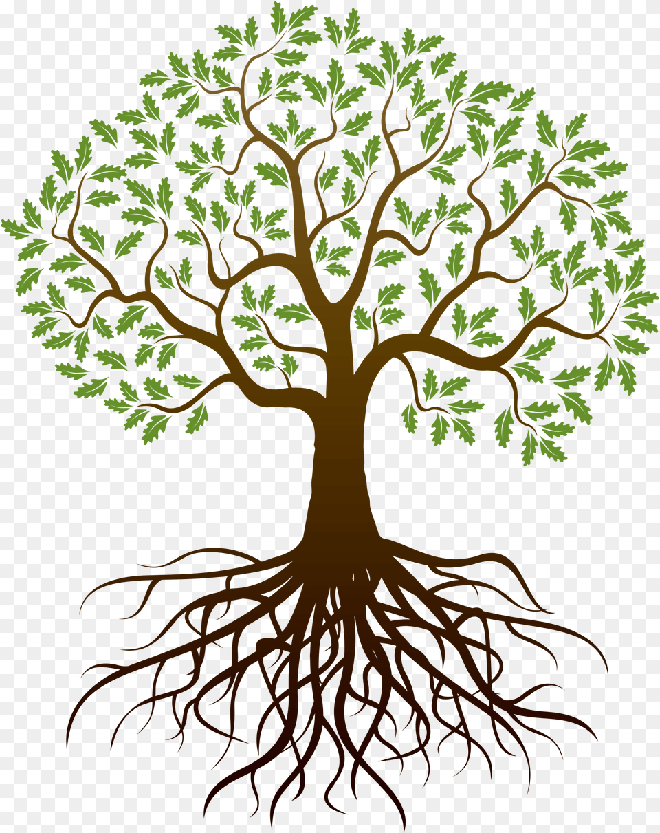 Family Reunion Tree With Roots Clip Art, Plant, Root Free Png