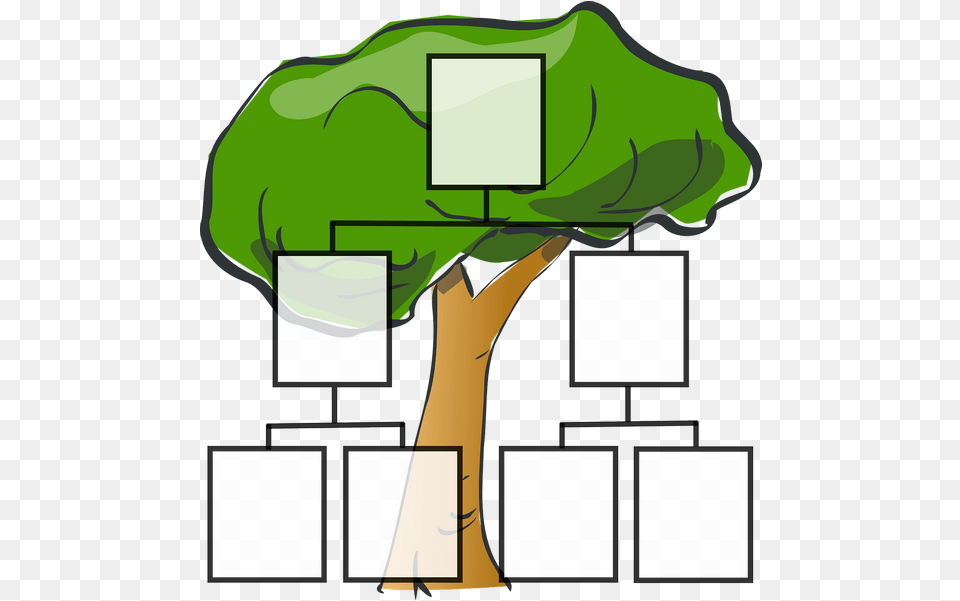 Family Tree Ancestors Family Tree Template Transparent, Green, Plant, Vegetation, Text Png