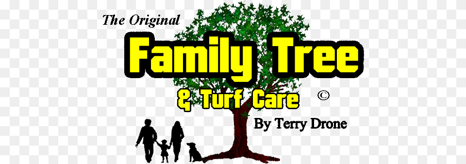 Family Tree And Turf Carecopyright Companies With Copyright Logo, Plant, Vegetation, Potted Plant, Land Free Png