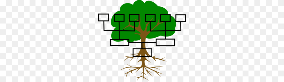 Family Tree Clip Art, Plant, Root Free Png Download