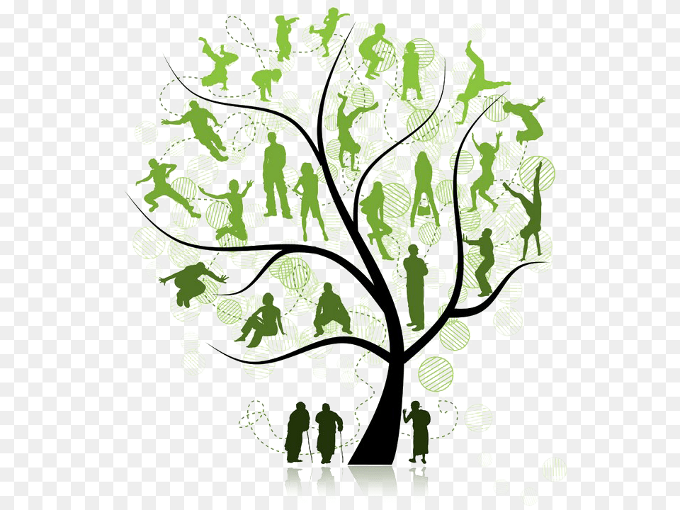Family Tree Clipart Family Tree, Art, Graphics, Person, Pattern Free Transparent Png