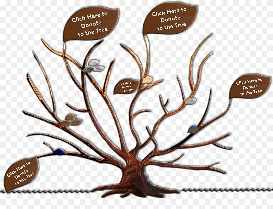 Family Tree Clipart Family Tree Of The Logan Family John Muir Family Tree Png