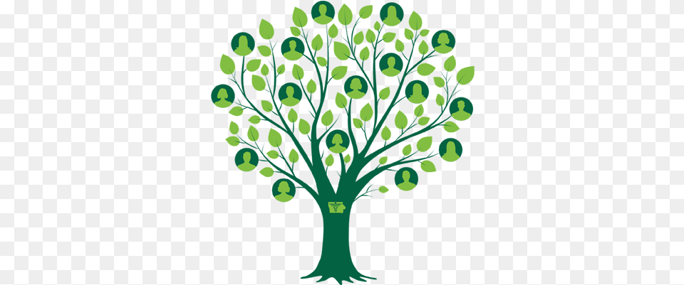 Family Tree Clipart People 40 Stunning Cliparts Family Tree Clipart, Art, Plant, Green, Pattern Free Png