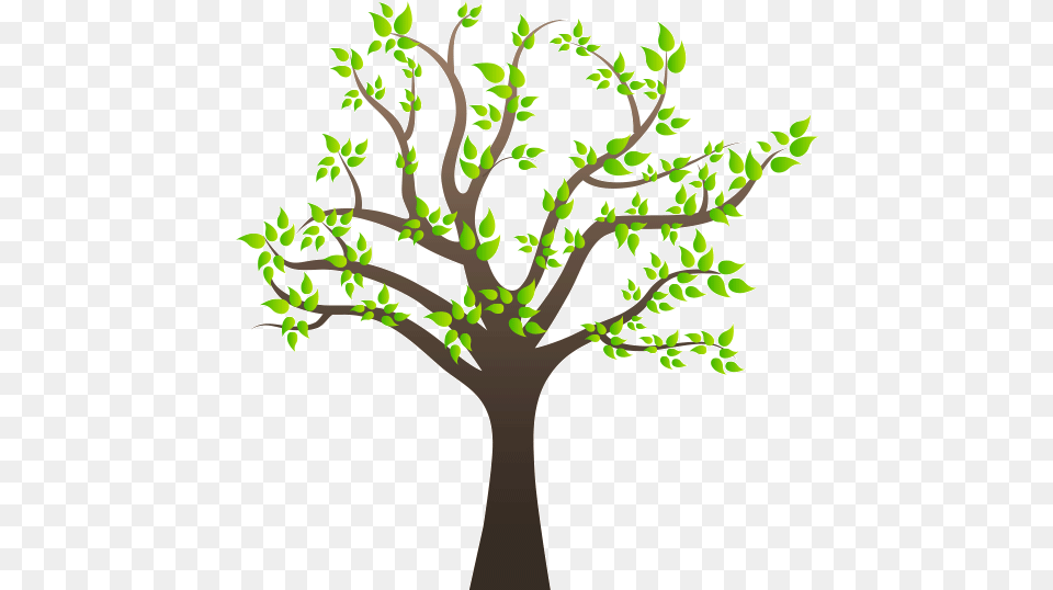 Family Tree Clipart Tree Clip Art, Leaf, Plant, Potted Plant, Tree Trunk Free Png Download