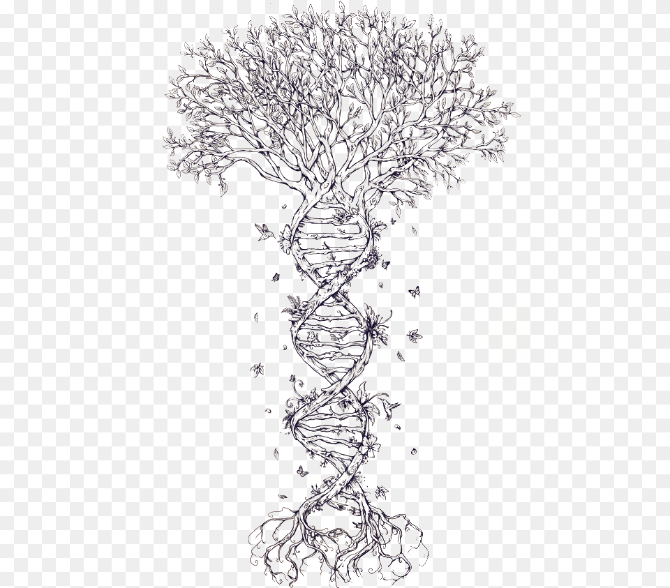 Family Tree Dna Tattoo Family Tree Dna Nucleic Acid Tree Of Life Double Helix, Art, Doodle, Drawing, Outdoors Png Image