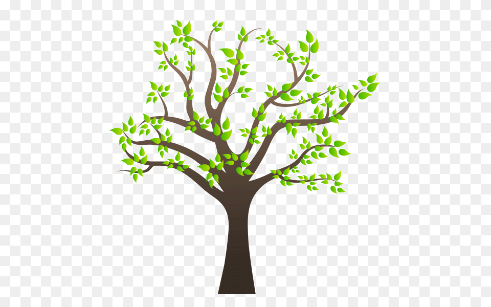 Family Tree Family Tree Clip Art, Plant, Herbal, Herbs, Graphics Free Transparent Png