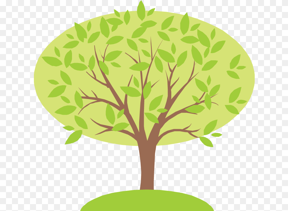 Family Tree Family Tree For 4, Green, Leaf, Plant, Herbal Free Png Download