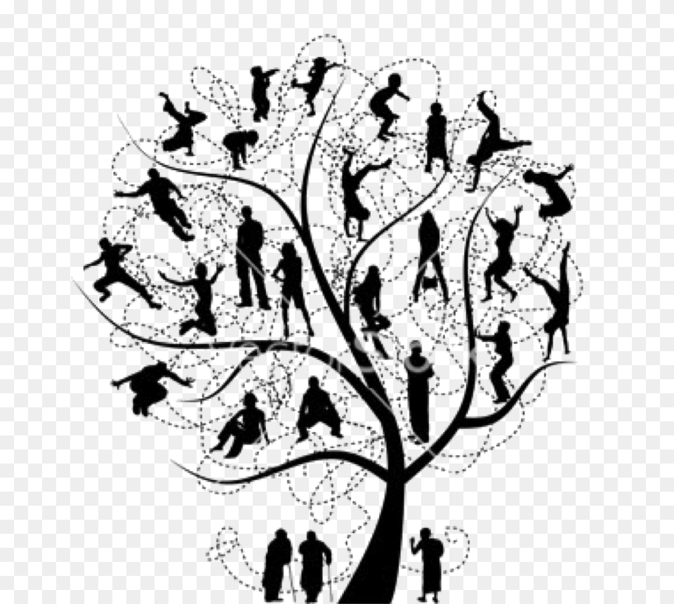 Family Tree Stock Photography Clip Art, Outdoors, Nature, Weather, Drawing Png