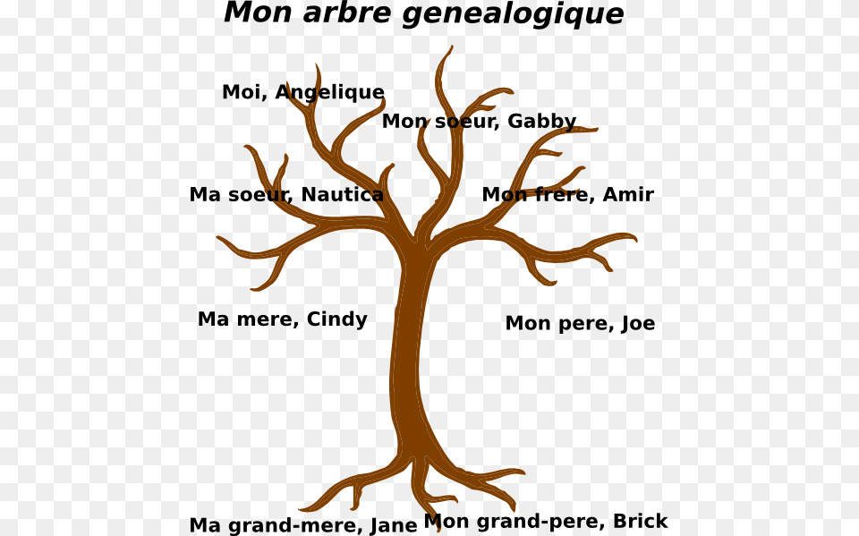 Family Tree Svg Brown Tree Without Leaves, Plant, Animal, Kangaroo, Mammal Png Image