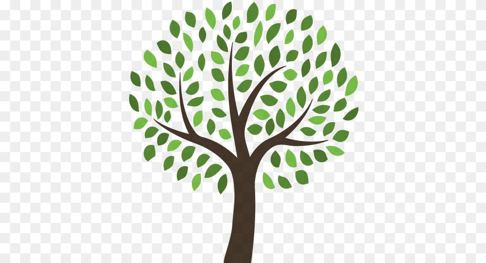 Family Tree Template, Oak, Plant, Sycamore, Tree Trunk Png Image
