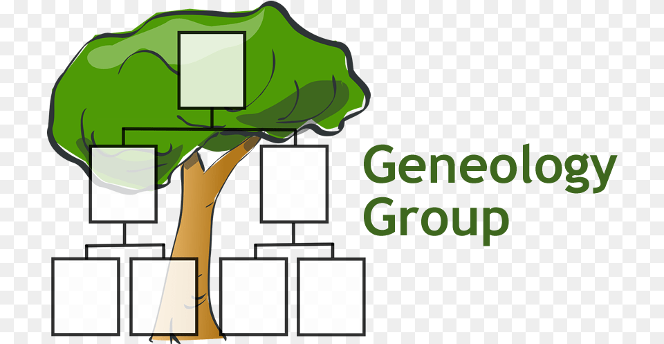 Family Tree Template Clipart Small Blank Family Tree, Plant, Green, Vegetation, Dynamite Png Image