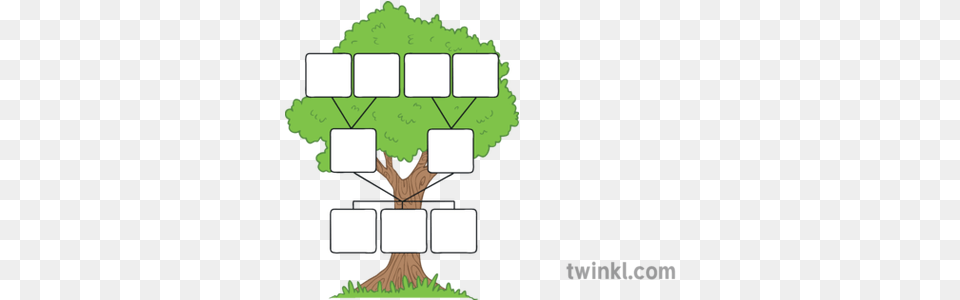 Family Tree Template Illustration Twinkl Family Tree Template Spanish, Grass, Green, Plant, Potted Plant Free Transparent Png