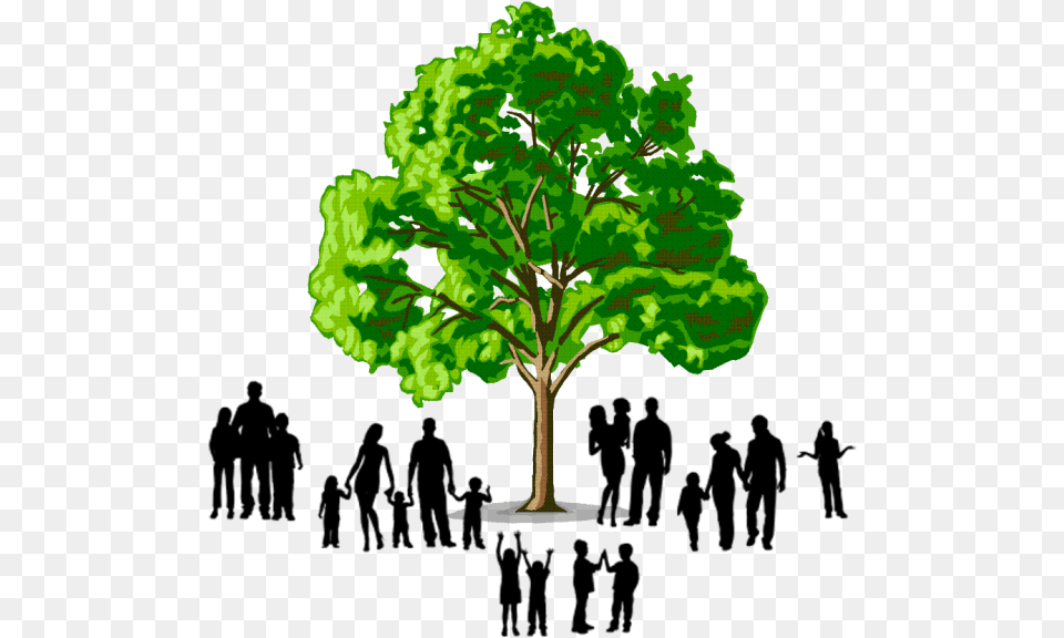 Family Tree Transparent Images Family Tree Logo Hd, Oak, Plant, Sycamore, Green Free Png Download