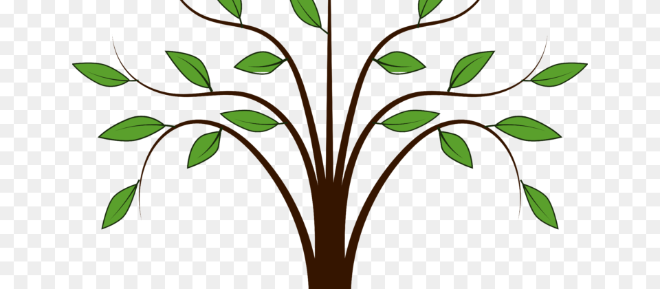 Family Tree Tree Clipart, Art, Floral Design, Graphics, Green Free Png Download