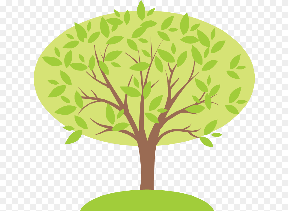 Family Tree Tree For A Family Tree, Green, Leaf, Plant, Herbal Png