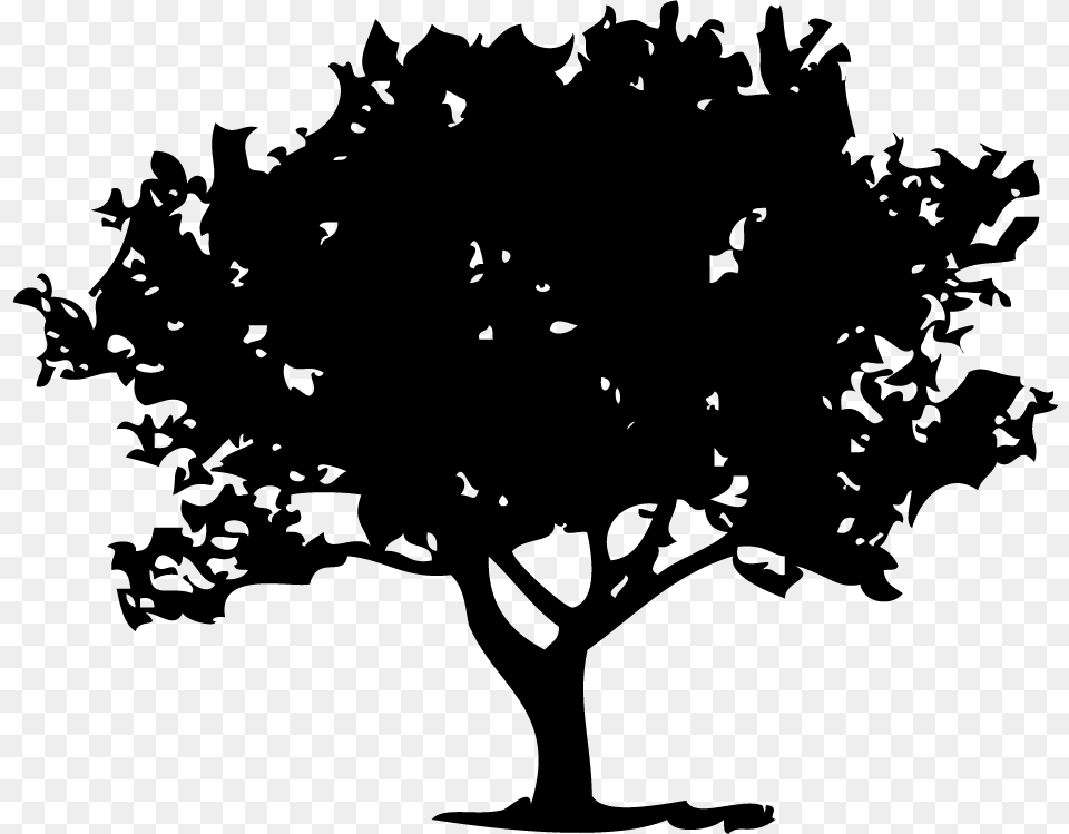 Family Tree Tshirt Design, Plant, Silhouette, Oak, Person Free Png