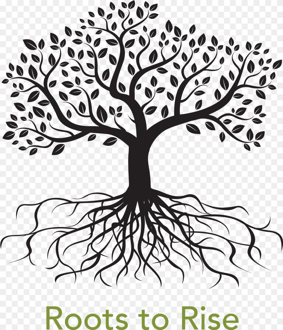 Family Tree With Roots, Plant, Root, Art Png