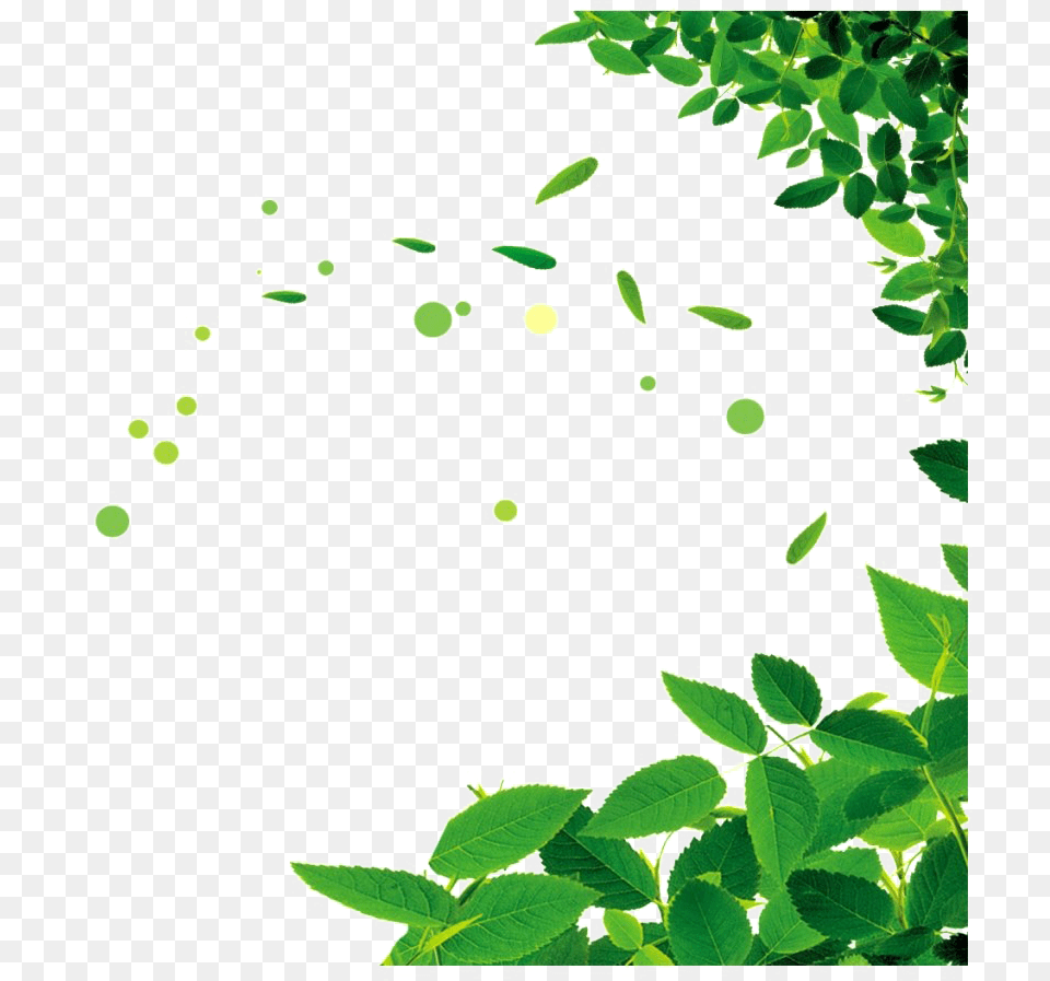 Famine Clipart Green Leaf Frame, Vegetation, Plant, Herbal, Herbs Free Png Download