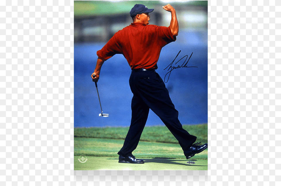 Famous Tiger Woods Fist Pump Poster, Adult, Person, People, Man Png Image