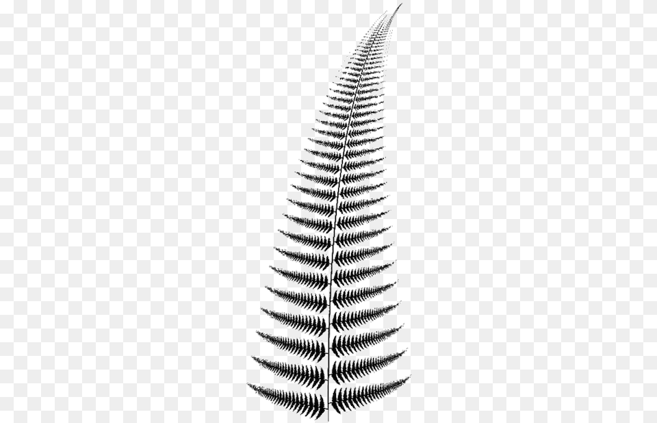 Fan Art Picket Fence, Fern, Plant Png Image