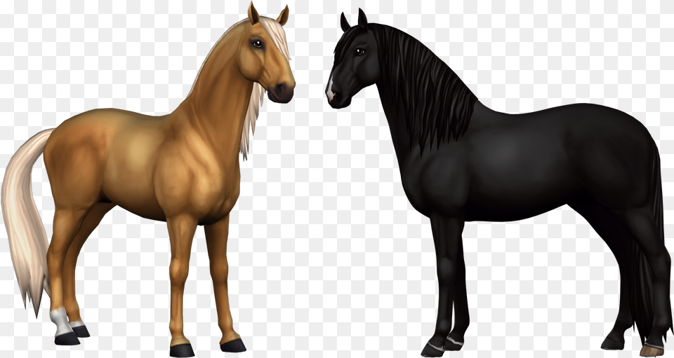 Fan Art Resources Star Stable Star Stable Fjord Transparent Background, Animal, Colt Horse, Horse, Mammal Free Png Download
