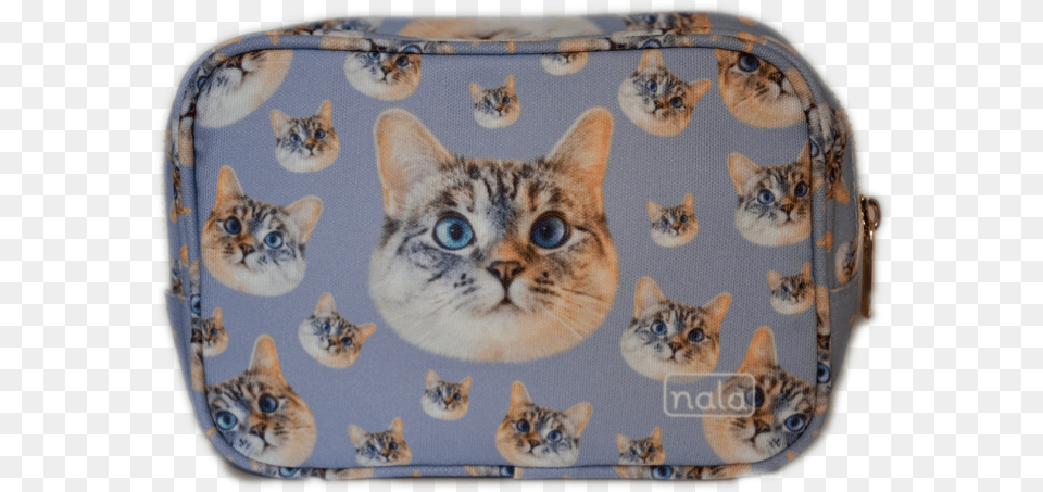 Fan Art Tabby Cat, Accessories, Bag, Handbag, Purse Free Png