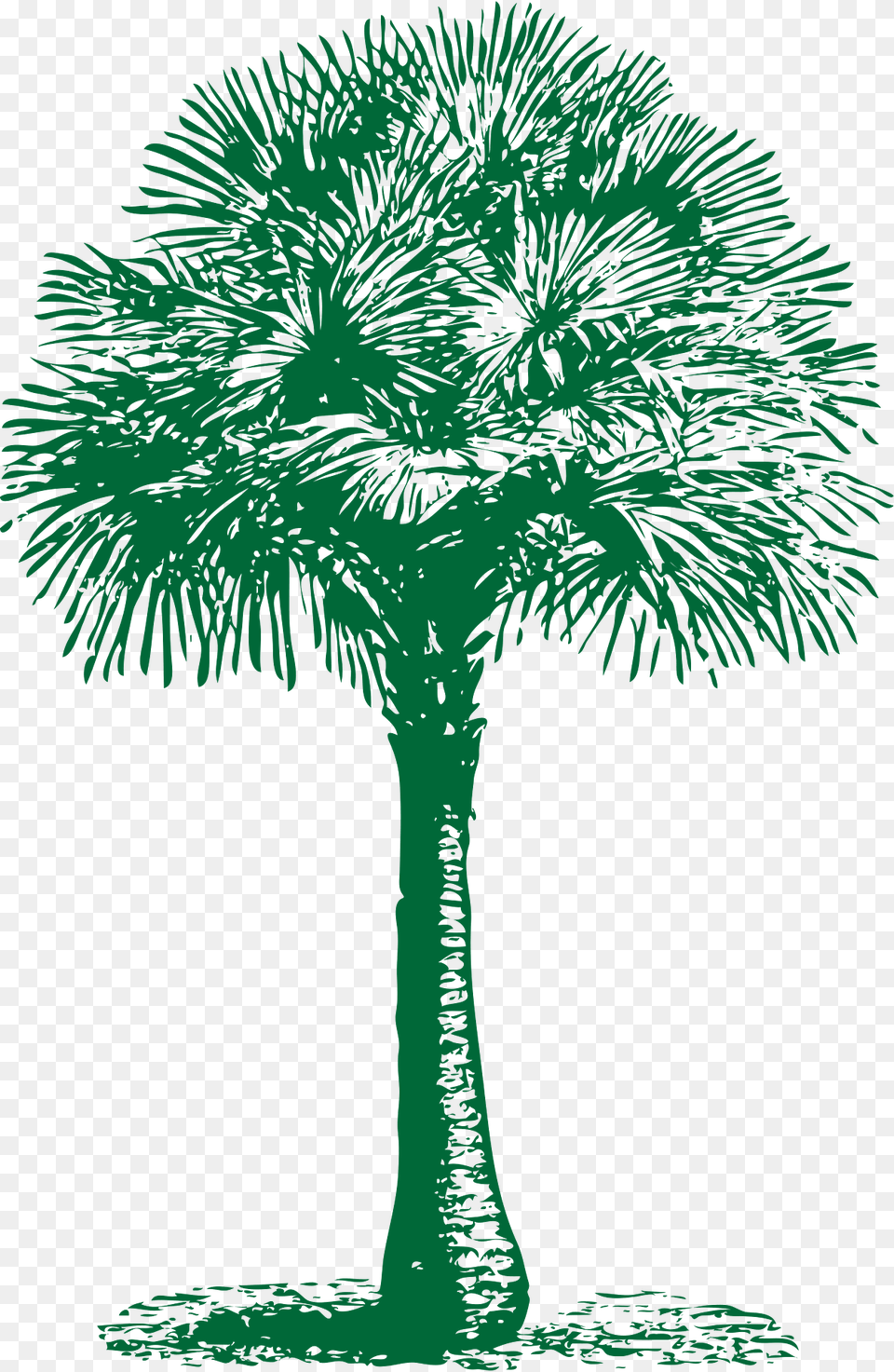 Fan Clipart, Green, Palm Tree, Plant, Tree Free Transparent Png