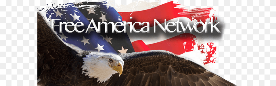 Fan Fgd Brand Truck Rear Window Soaring Eagle American, American Flag, Flag, Animal, Bird Free Png Download