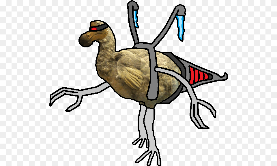 Fan Kaiju Wikia Animal Figure, Beak, Bird, Adult, Male Png Image
