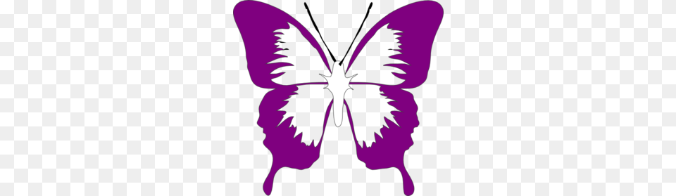 Fancy Butterfly Clipart Clip Art Images, Flower, Plant, Purple, Person Png