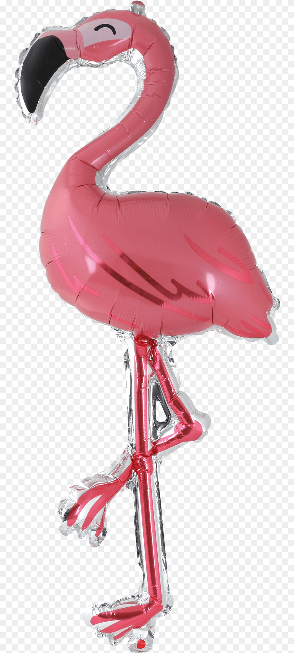 Fancy Foil Flamingo Balloon U2014 Xonex Water, Animal, Bird, Person Free Transparent Png