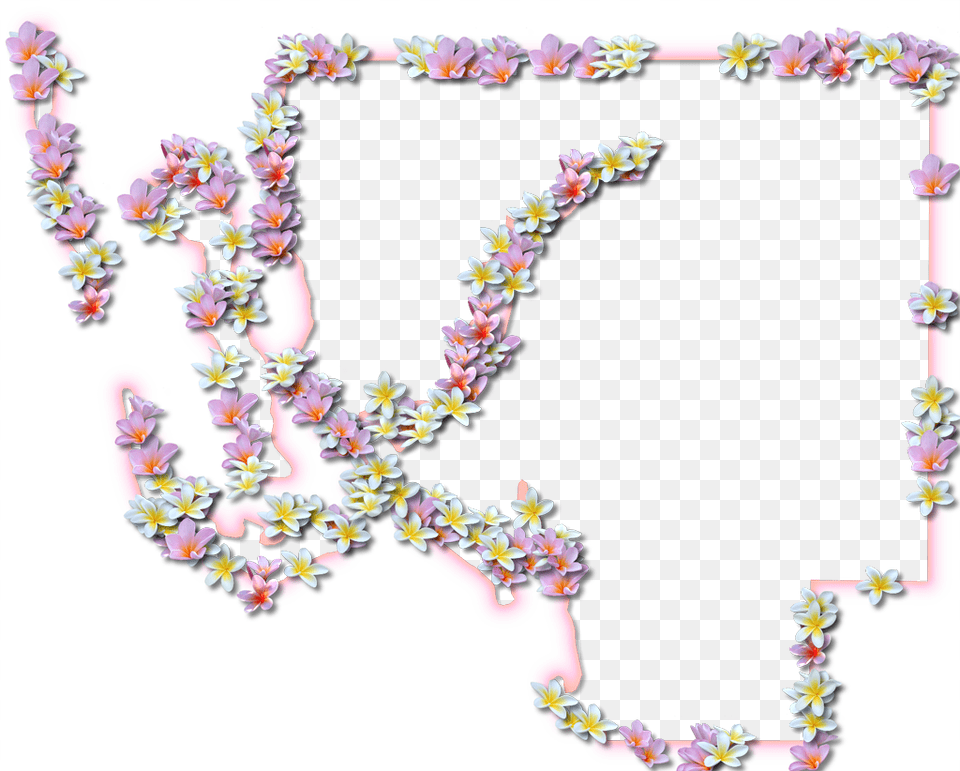 Fancy Frame Border Map, Flower Arrangement, Plant, Flower, Ornament Png