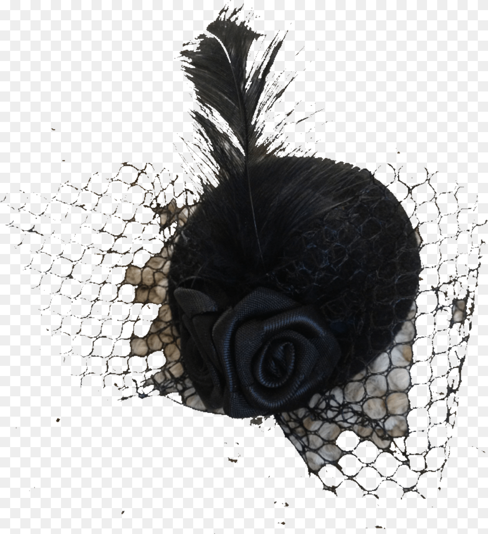 Fancy Hat Background, Plant, Clothing, Veil Png Image