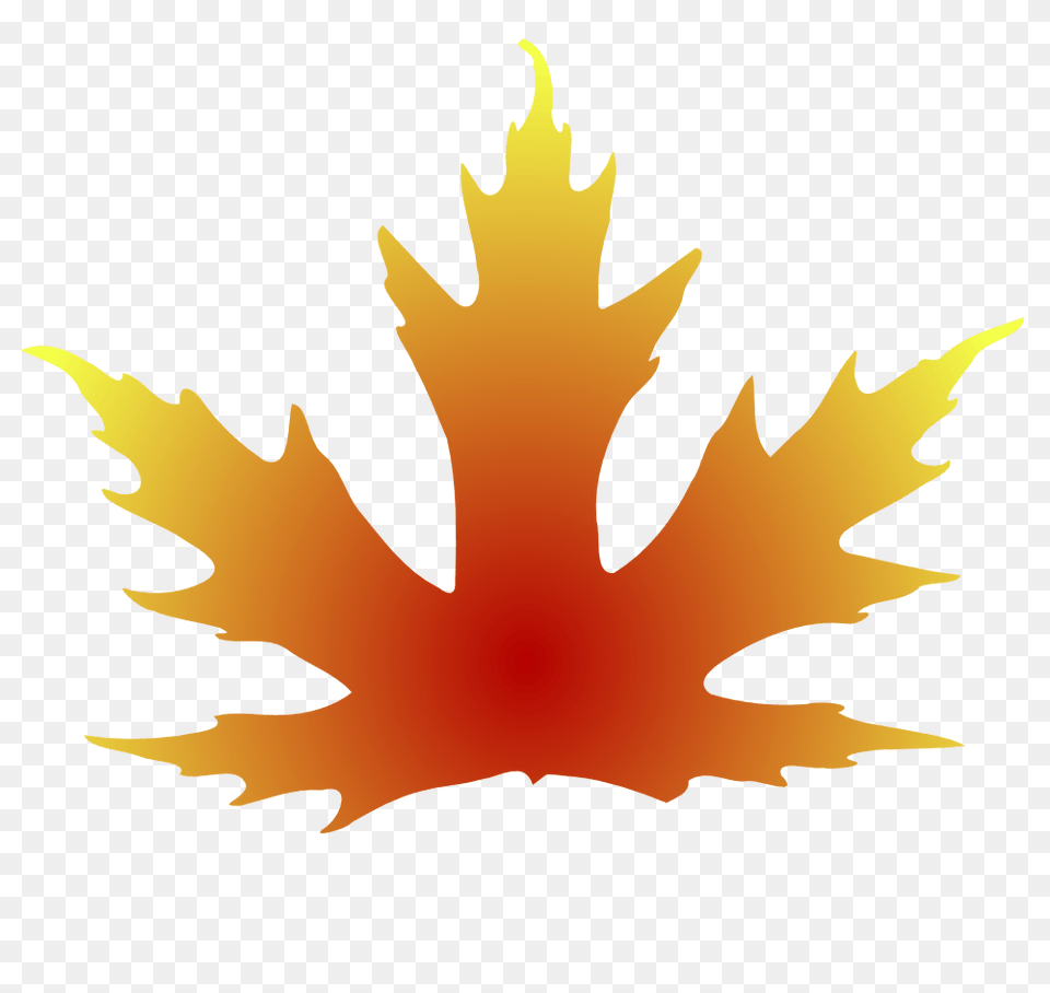Fancy Leaf Cliparts, Plant, Maple Leaf, Person, Tree Png