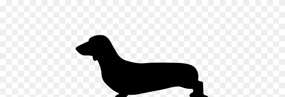 Fancy Plush Design Sausage Dog Outline Dachshund Silhouette, Gray Png Image